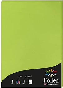 Clairefontaine Pollen Universalpapier intensivgrün, A4, 120g/m², 50 Blatt