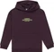 Element Skateboard Hoodie (Junior) Vorschaubild