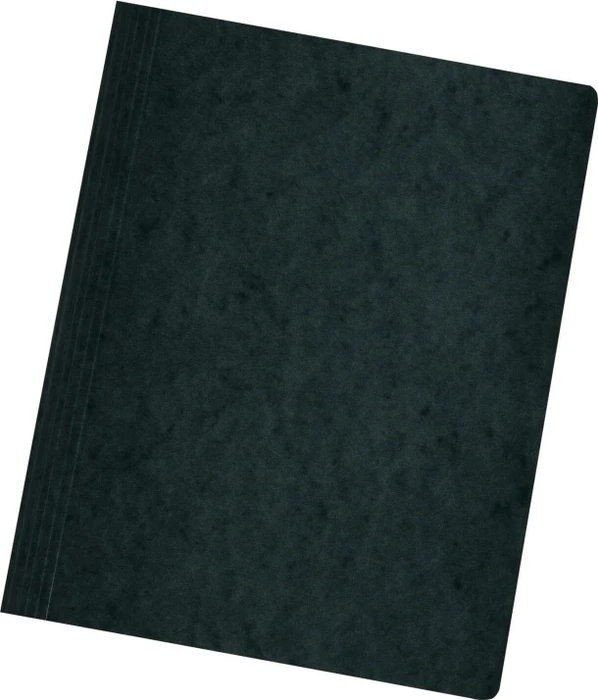 Herlitz Schnellhefter Colorspan, A4, schwarz