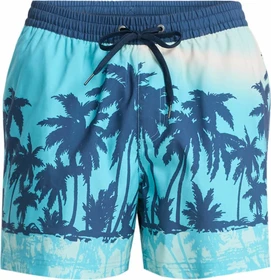 Quiksilver Everyday Printed Volley 15" Badeshorts aqua/thermotropics (Herren)