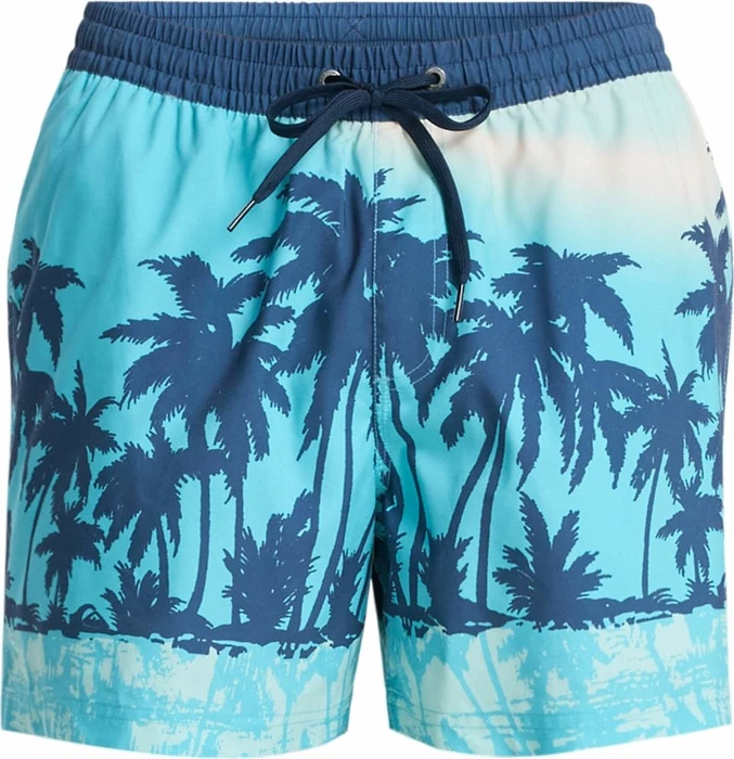 Quiksilver Everyday Printed Volley 15" Badeshorts aqua/thermotropics (Herren)