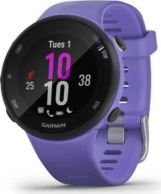 Garmin Forerunner 45S iris (010-02156-11)