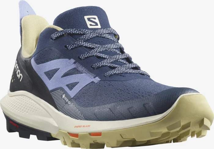 Salomon OUTpulse GTX mood indigo/leek green/easter egg (Damen)