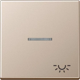 Jung Serie A Wippe mit Symbol Licht, champagner