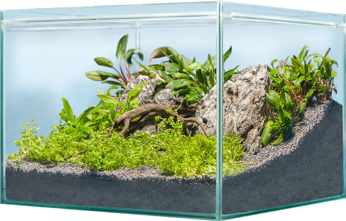 sera Scaper Cube 64 Starterset, Aquarium-Set, 64l