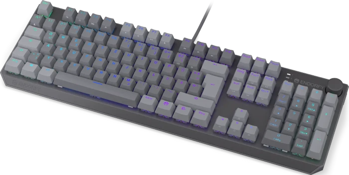 Endorfy Thock V2, PBT, grau, LEDs RGB, hot-swap, Endorfy RED, USB, DE