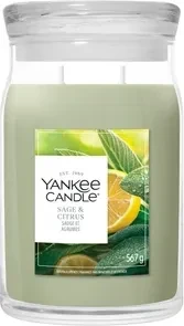 Yankee Candle Sage & Citrus Duftkerze, 567g