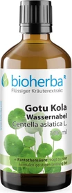 Bioherba Gotu Kola Wassernabel Centella asiatica L. Tropfen Tinktur, 50ml