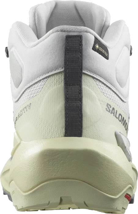Salomon Elixir Activ Mid GTX glacier grey/aloe wash/magnet (Damen)