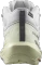 Salomon Elixir Activ Mid GTX glacier grey/aloe wash/magnet (Damen) Vorschaubild