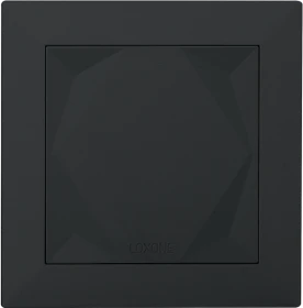 Loxone Touch Air anthrazit
