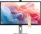Alogic Clarity Max Vorschaubild
