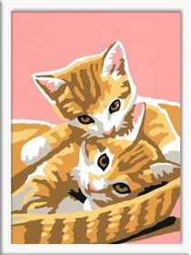 Ravensburger Malen nach Zahlen Katzenbabys
