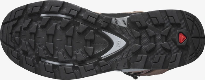 Salomon Quest 4 GTX sirocco/mocha mousse/almond cream (Damen)