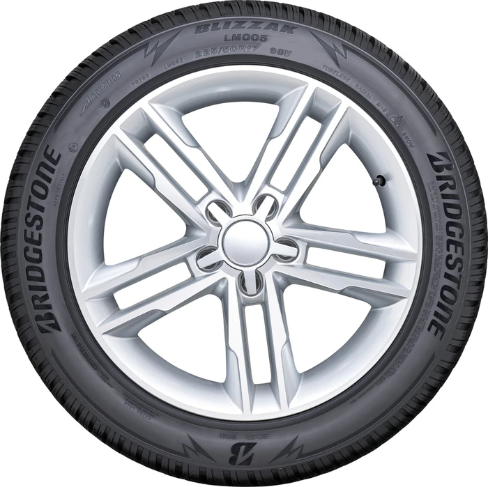 Bridgestone Blizzak LM005 255/45 R20 101T + AO