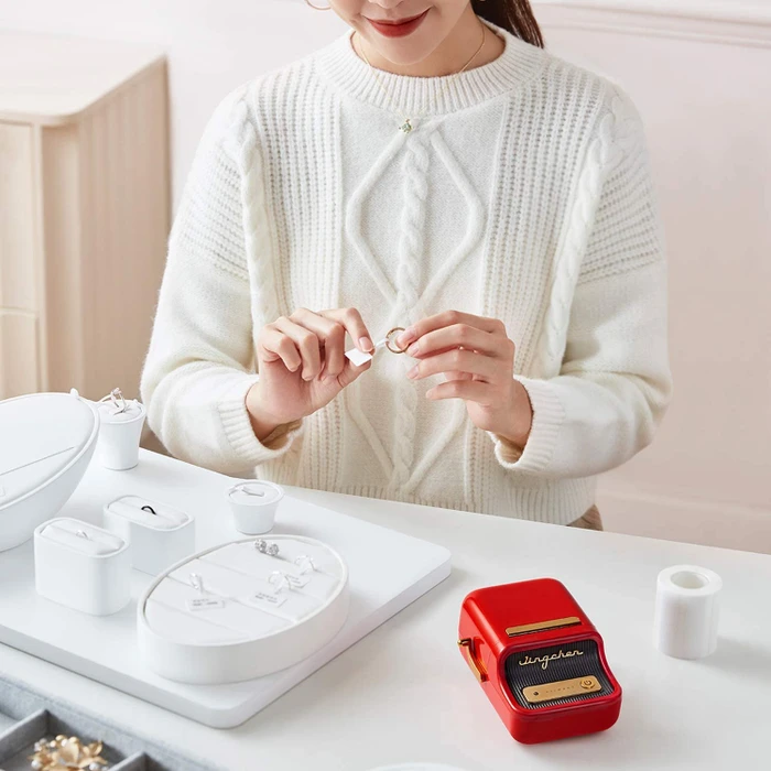 Niimbot B21 Wireless Label Printer, rot