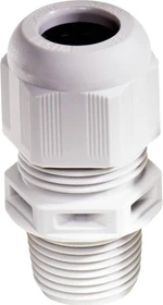 Wiska NSKV 2 LT LG Kabelverschraubung LowTemp, Kunststoff, NPT 2", RAL 7035