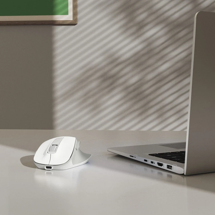 Hama MW-500 Ergonomic Silent Wireless weiß, USB