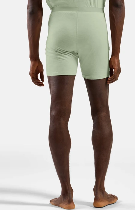 Odlo Natural Merino 160 Boxer Briefs ambrosia (Herren)