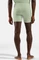 Odlo Natural Merino 160 Boxer Briefs ambrosia (Herren) Vorschaubild