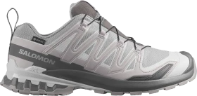 Salomon XA Pro 3D V9 GTX Equipe alloy/castlerock/lunar rock (Herren)