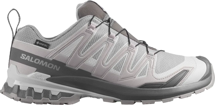 Salomon XA Pro 3D V9 GTX Equipe alloy/castlerock/lunar rock (Herren)