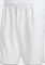adidas Club Tennis Hose kurz white (Herren) Vorschaubild