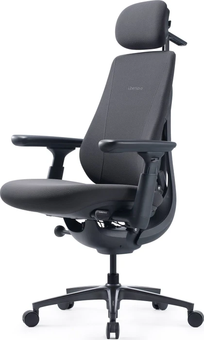 LiberNovo Maxis Electric, graphit