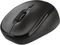 Trust TM-200 Wireless Mouse schwarz, USB Vorschaubild