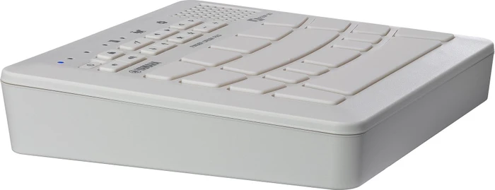 Yamaha FGDP-30