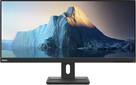 Lenovo ThinkVision E29w-20, 29"