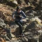adidas Terrex Agravic Trail Running Leggings Laufhose lang carbon (Damen) Vorschaubild
