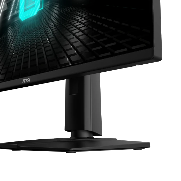 MSI G255PFDE E2, 24.5"
