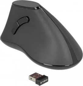 DeLOCK Kabellose ergonomische vertikal optische lautlose 5-Tasten Maus schwarz, USB (12622)