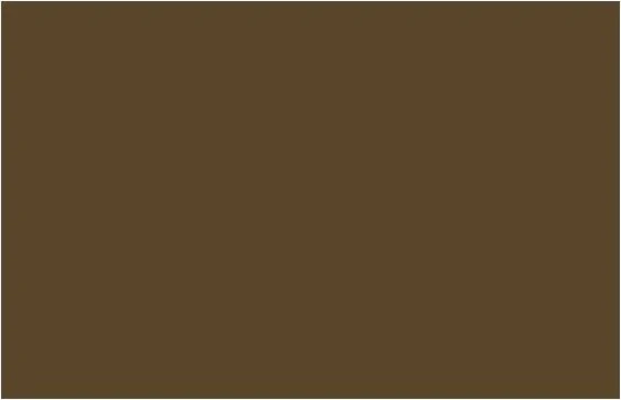 Liquitex Professional Spray Paint raw umber, 400ml
