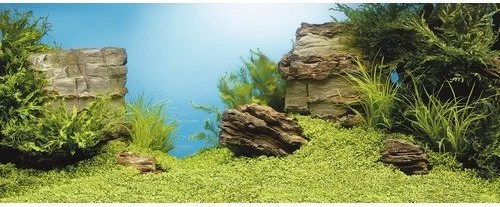 Juwel Poster 1 Unterwasserlandschaft/Felsmotiv, L