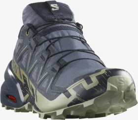 Salomon Speedcross 6 GTX grisaille/carbon/tea (Herren)