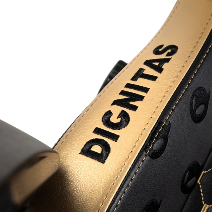 noblechairs Hero Dignitas Edition Gamingstuhl, schwarz/gold