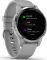 Garmin vivoactive 4S powder grey/silver Vorschaubild