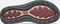 Teva Elzada Leather port (Damen) Vorschaubild