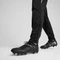Puma Future 7 Pro FG/AG puma black/puma silver Vorschaubild