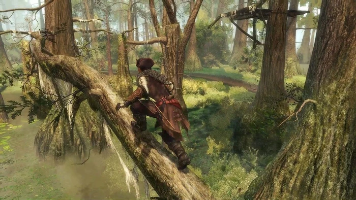 Assassin's Creed 3 - Remastered (PS4) – Bild 6