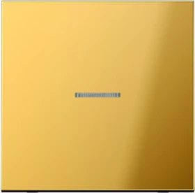 Jung Serie LS Wippe mit Lichtleiter 1fach, goldfarben