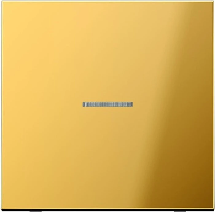 Jung Serie LS Wippe mit Lichtleiter 1fach, goldfarben
