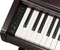 Yamaha Arius YDP-146 Rosenholz Vorschaubild