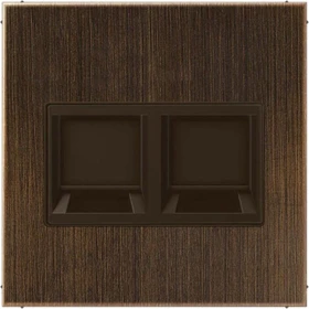 Jung Serie LS Abdeckung für Modular-Jack-Steckbuchsen 2fach, Messing antik
