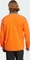 adidas Terrex Multi Fleece Jacke semi impact orange/charcoal (Herren) Vorschaubild