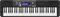 Casio CT-S500 Vorschaubild