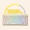 Akko MOD 007B HE, Cream White, LEDs RGB, hot-swap, Cream Yellow Magnetic, USB/Bluetooth, DE Vorschaubild
