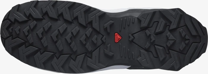 Salomon X Raise 2 GTX quiet shade/black/goji berry (Herren)
